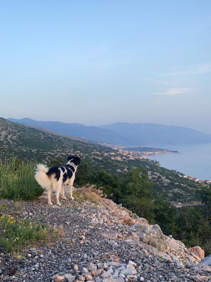 Apartments Spalj 1 I 2 Senj  Εξωτερικό φωτογραφία